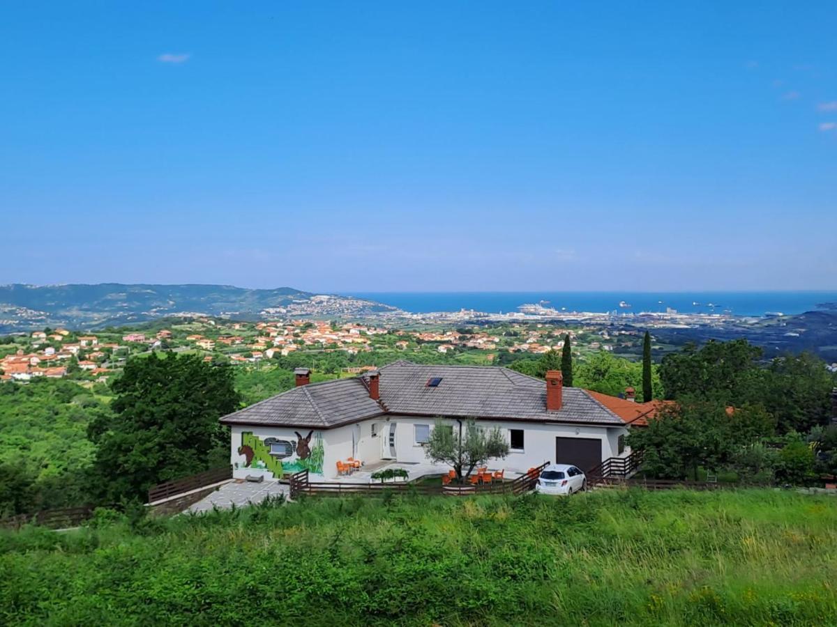 Souranded By Forest With Sea View Apartment