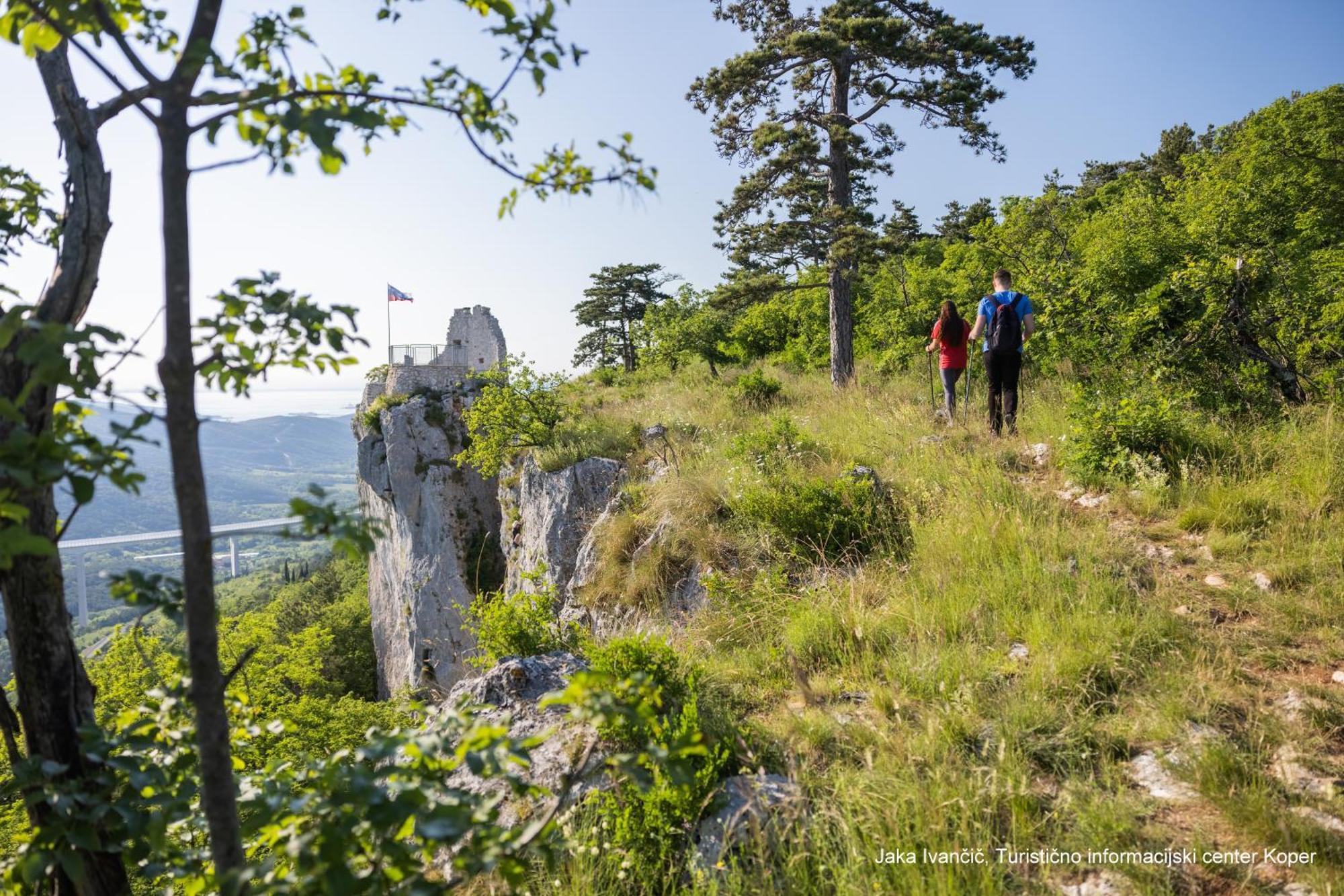 Souranded By Forest With Sea View Koper