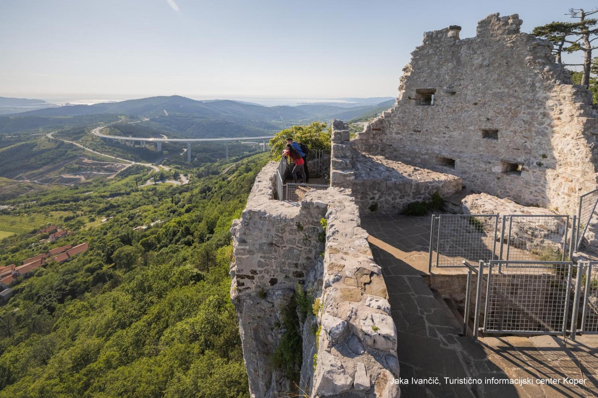 Souranded By Forest With Sea View * Koper