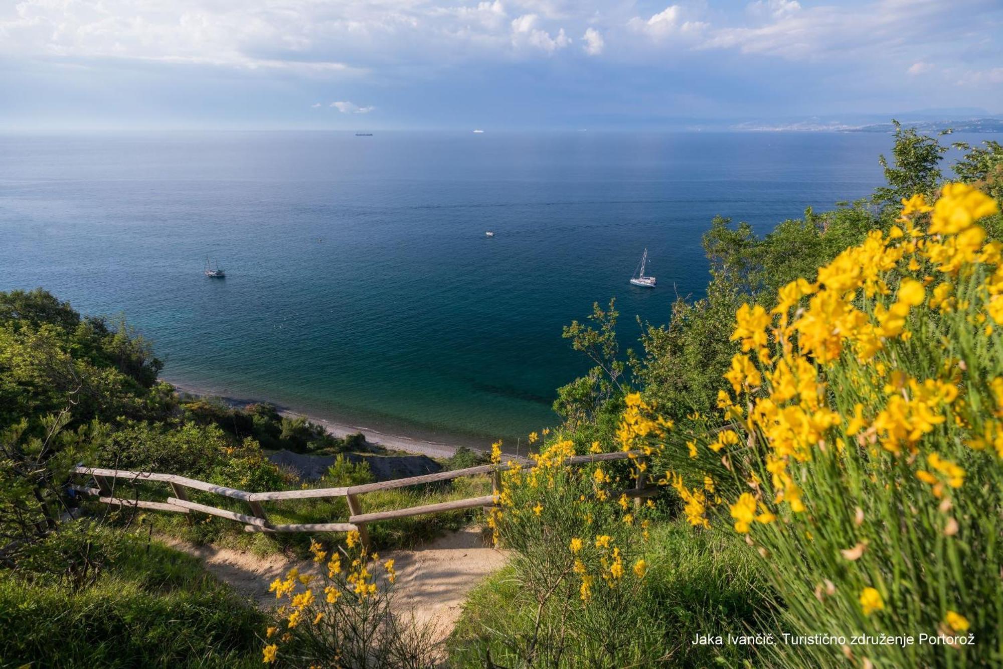 Souranded By Forest With Sea View * Koper