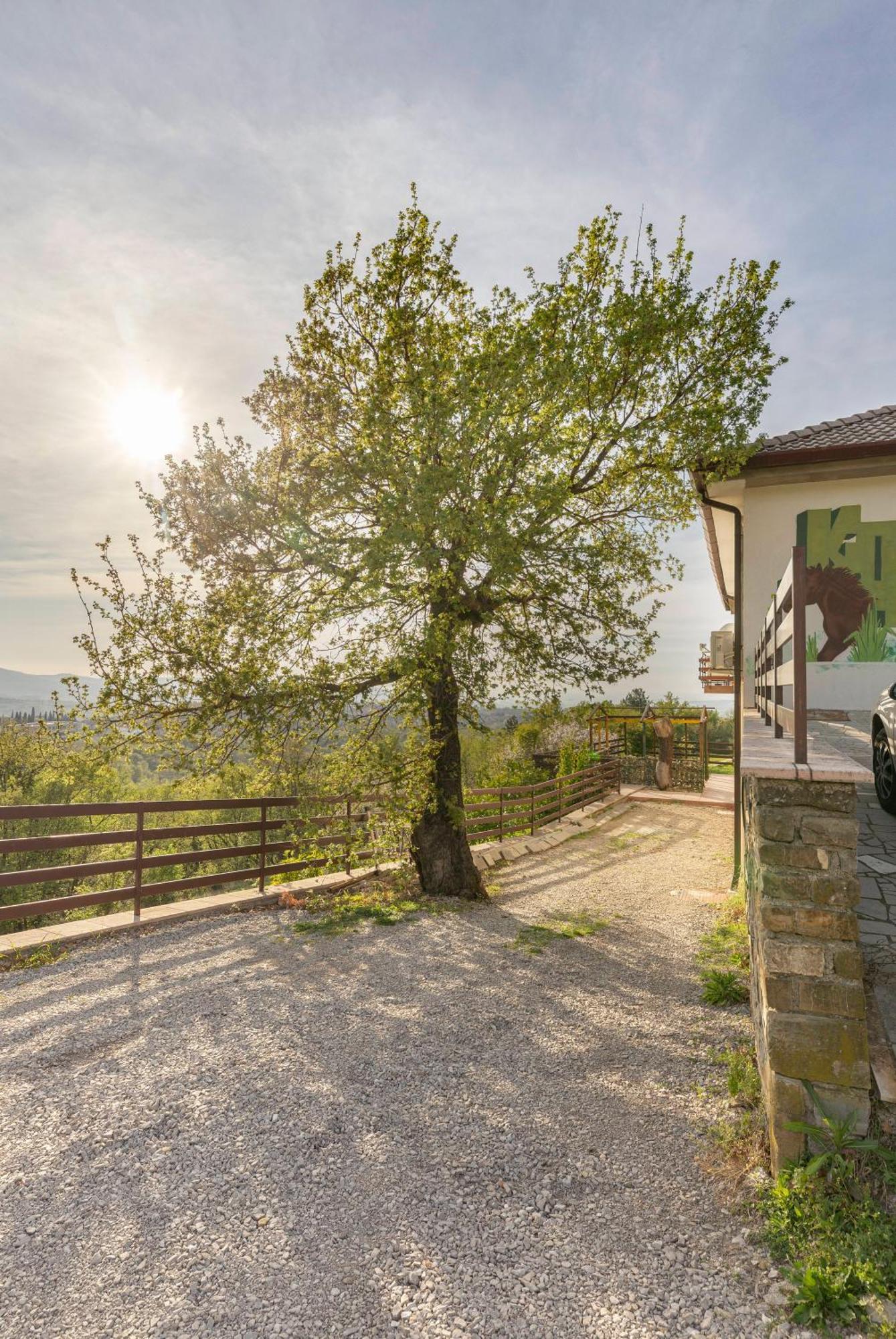 Souranded By Forest With Sea View Koper