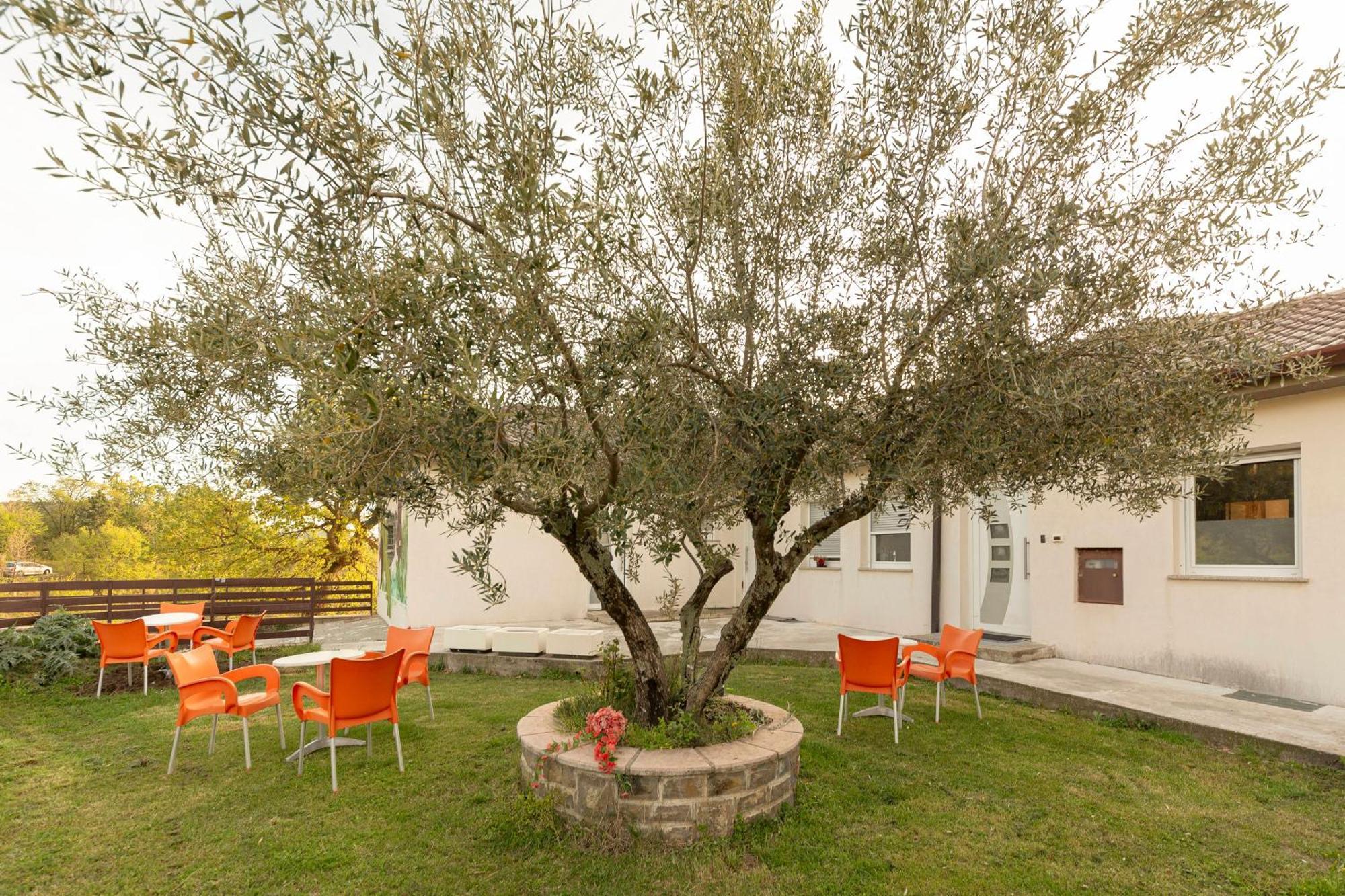 Apartment Souranded By Forest With Sea View *