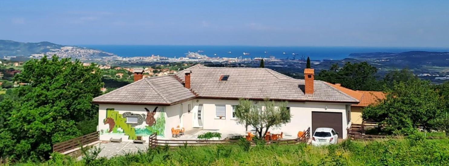 Apartment Souranded By Forest With Sea View Koper