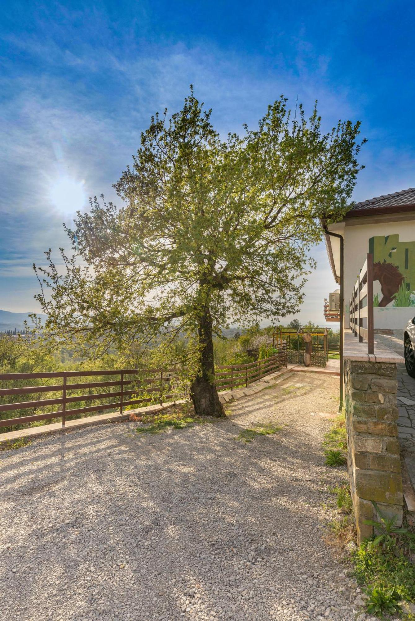 Apartment Souranded By Forest With Sea View Koper